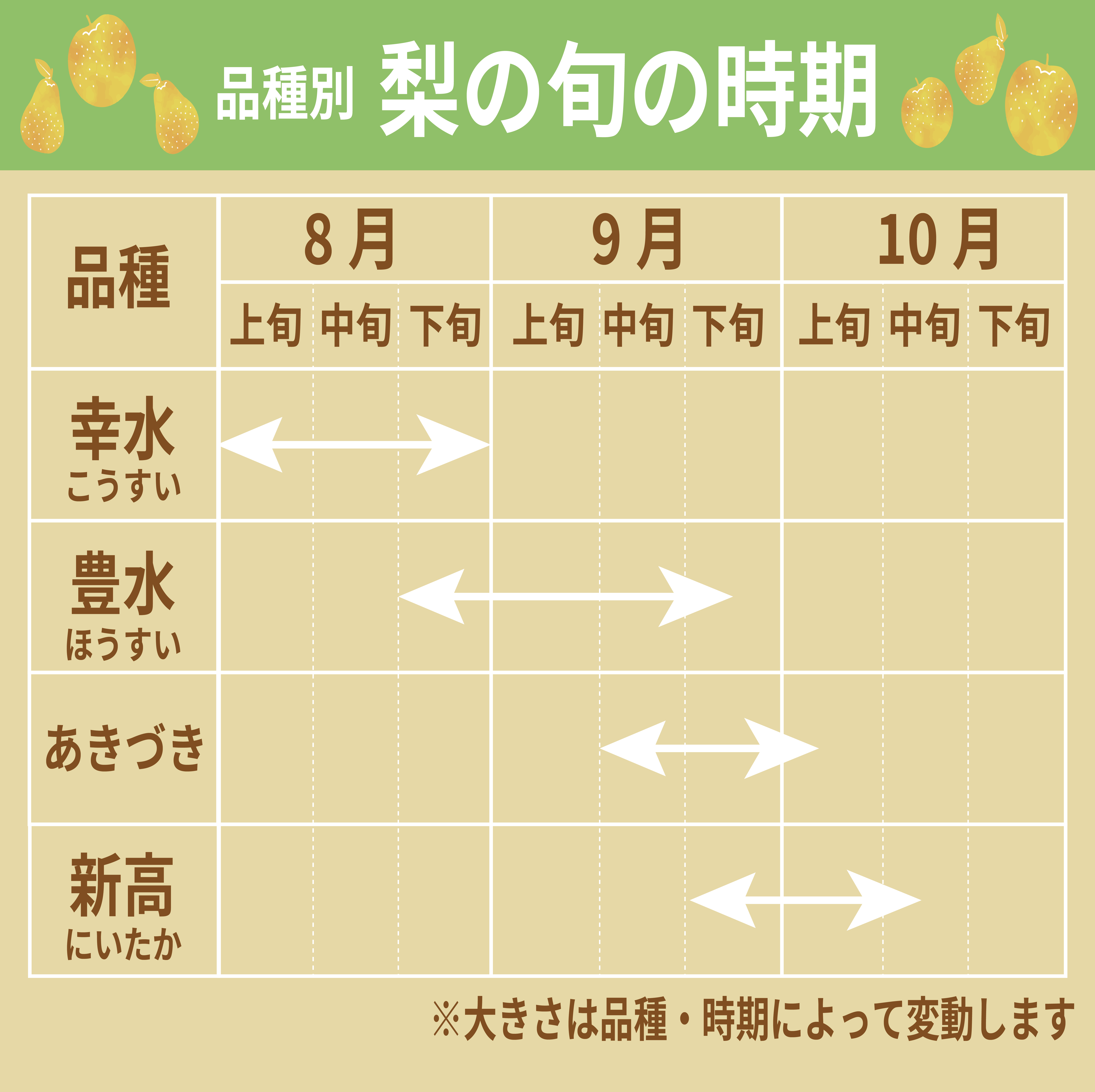 活動歴および当時の関連ビジュアル記録